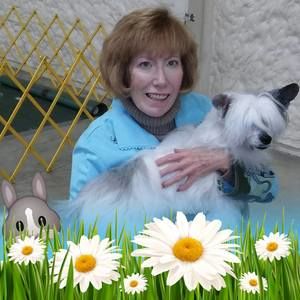 Meet your Posher, Janet